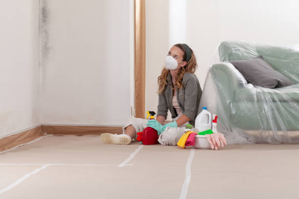 Reliable Commercial Mold Remediation contractor in Pine Level, NC by WQB Mold Removal